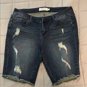 Torrid Distressed Shorts